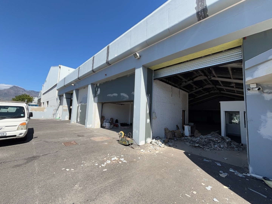 To Let commercial Property for Rent in Paarden Eiland Western Cape